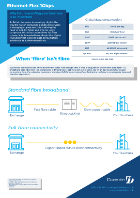 Dunedin-IT---Data---Connect---1-GB-Ethernet---CityFibre-Page-2