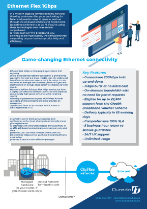 Dunedin-IT---Data---Connect---1-GB-Ethernet---CityFibre