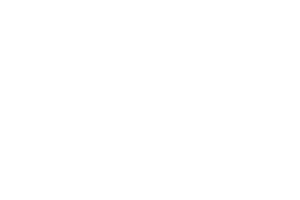 Dunedin-IT