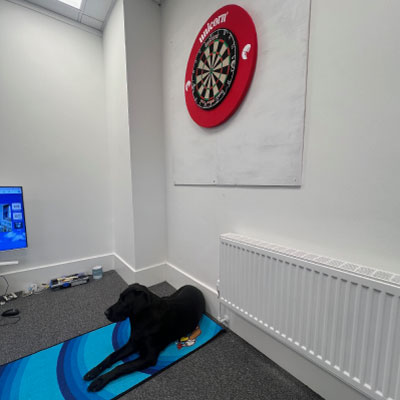 Dartboard (Dog not included).